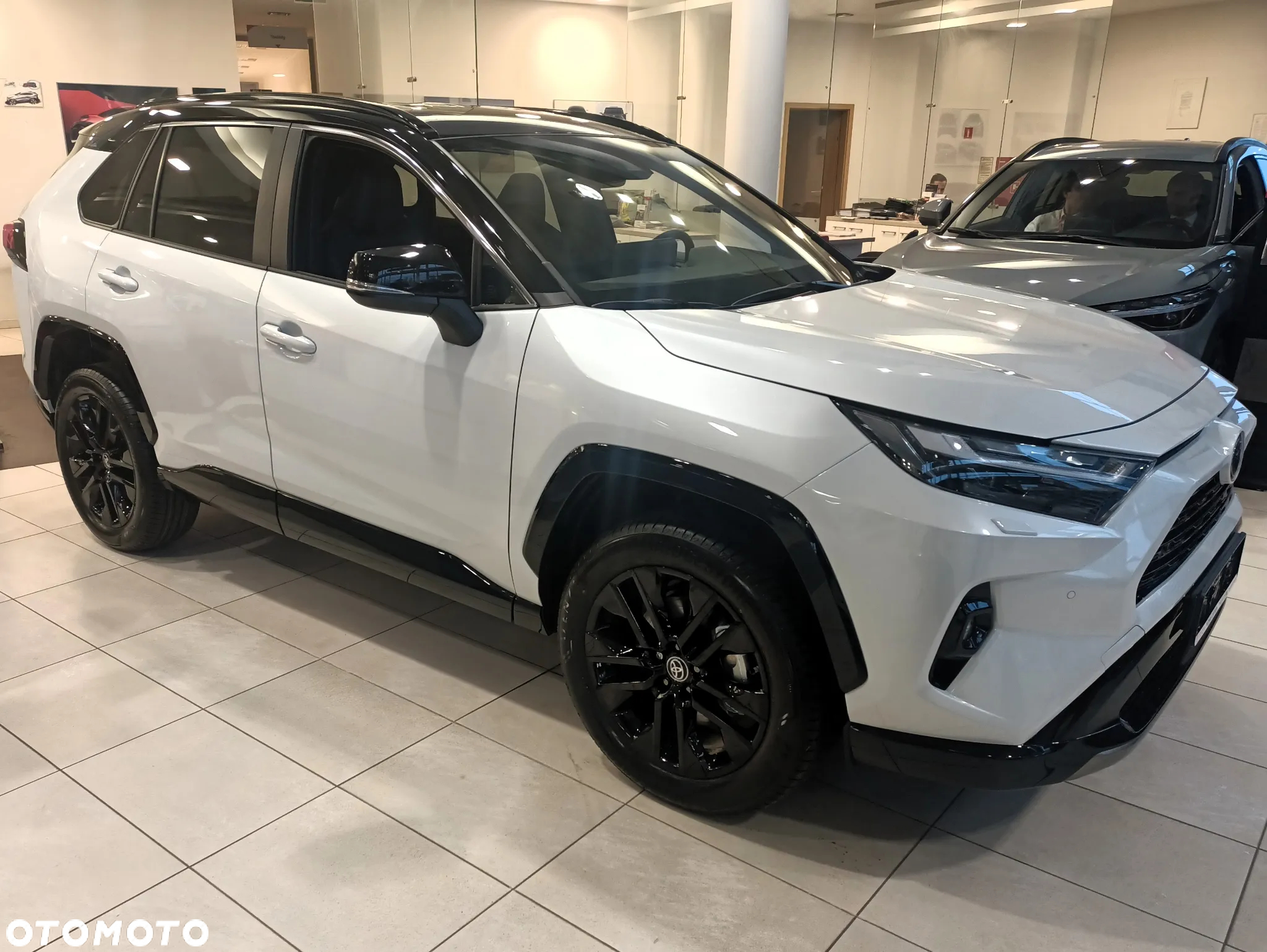 Toyota RAV4 2.5 Hybrid Selection 4x2 - 3