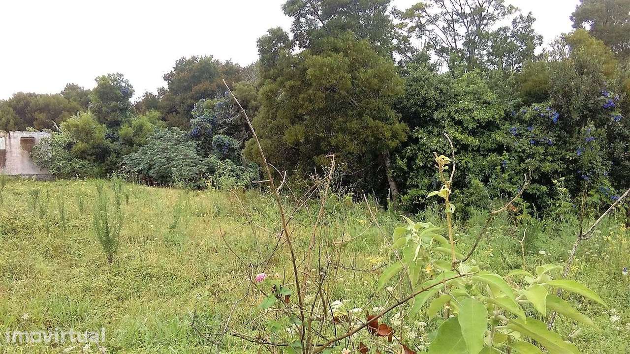 Terreno Urbano nas imediações do Campo de Golf da Batalha em Fenais da - Grande imagem: 3/5