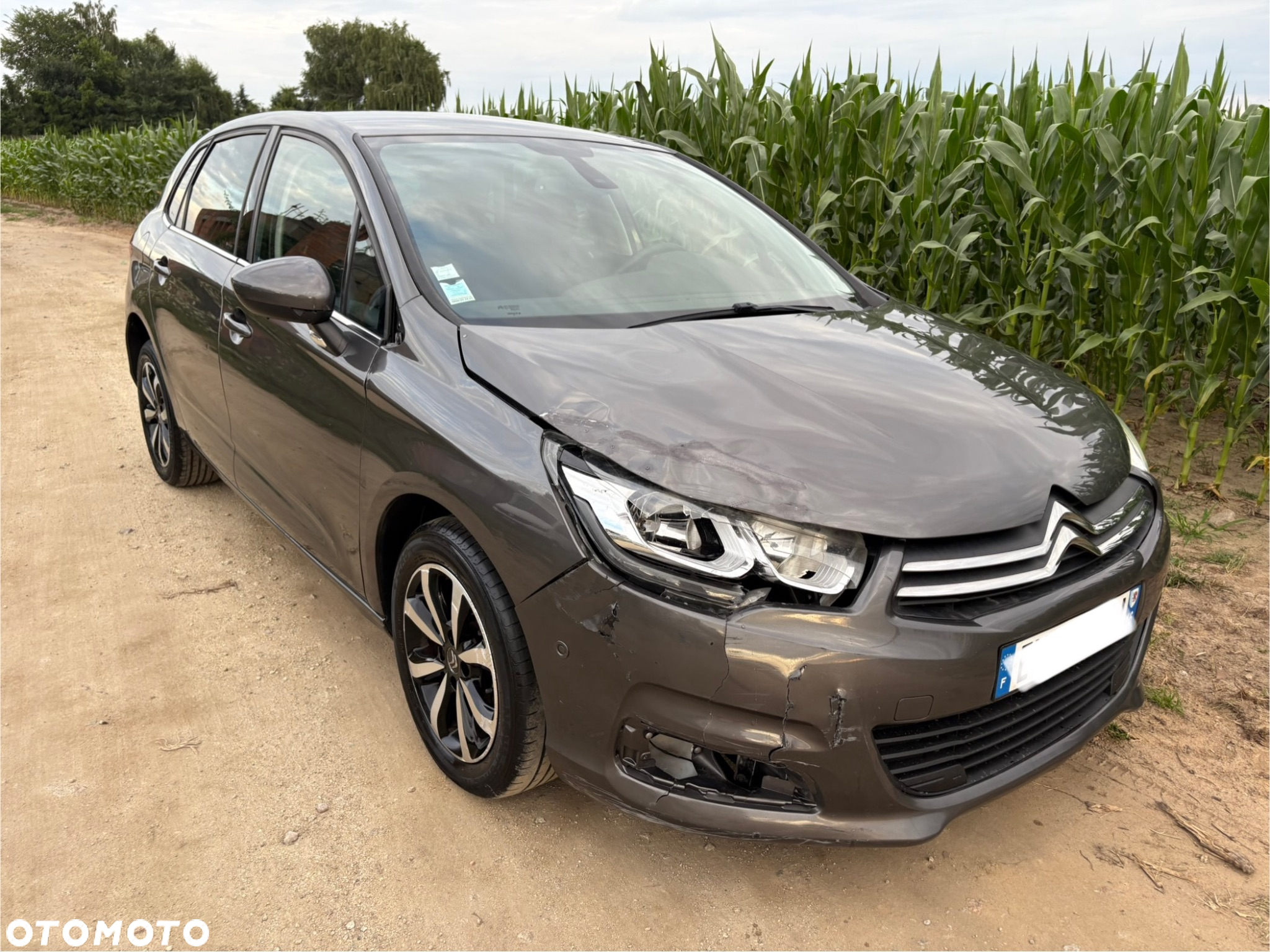 Citroën C4 BlueHDi 120 Stop&Start Shine - 7