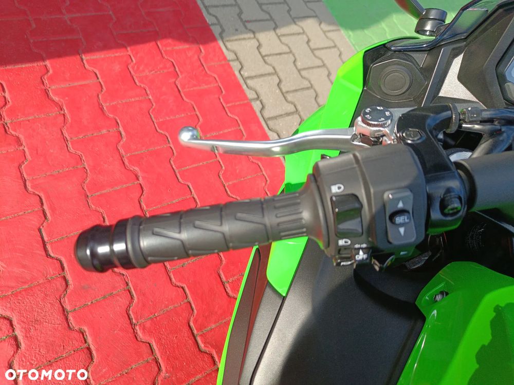 Kawasaki Ninja - 10