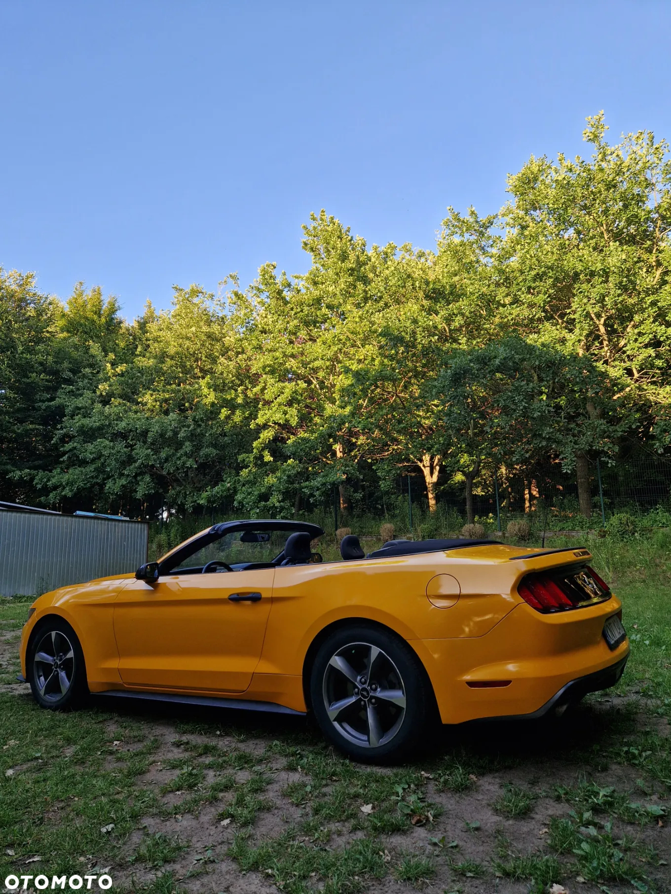 Ford Mustang 3.7 V6 - 9