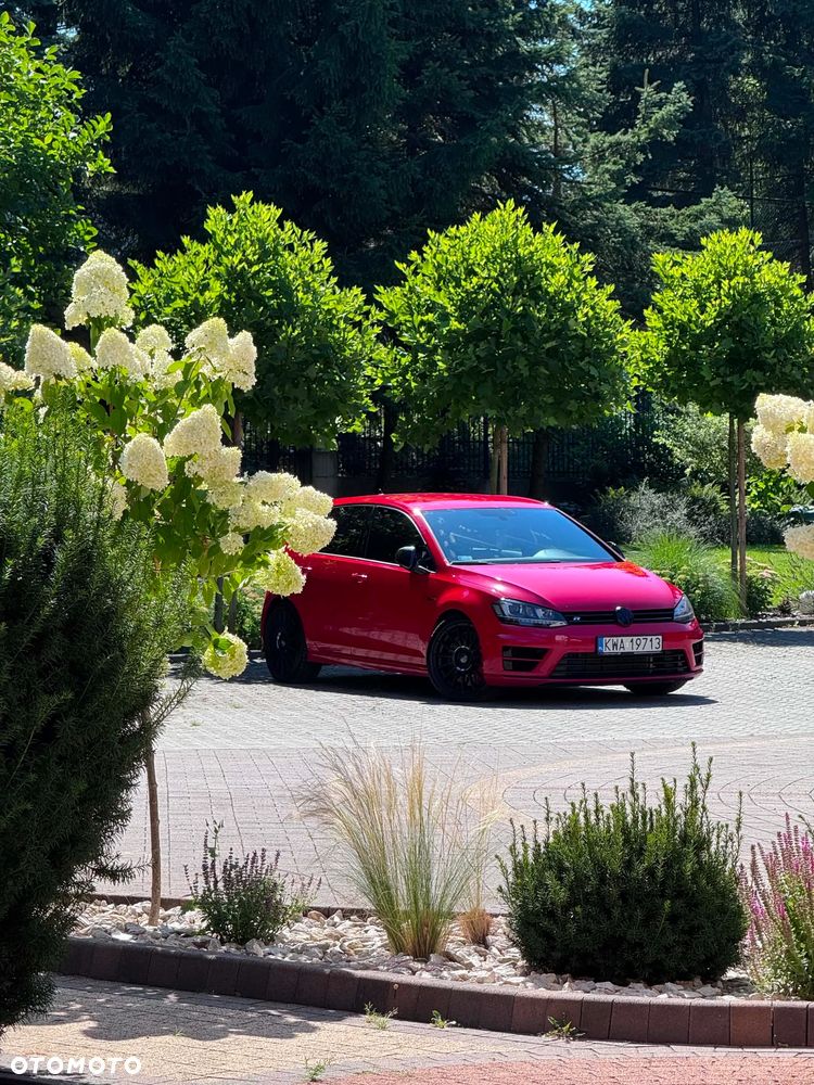 Volkswagen Golf - 1