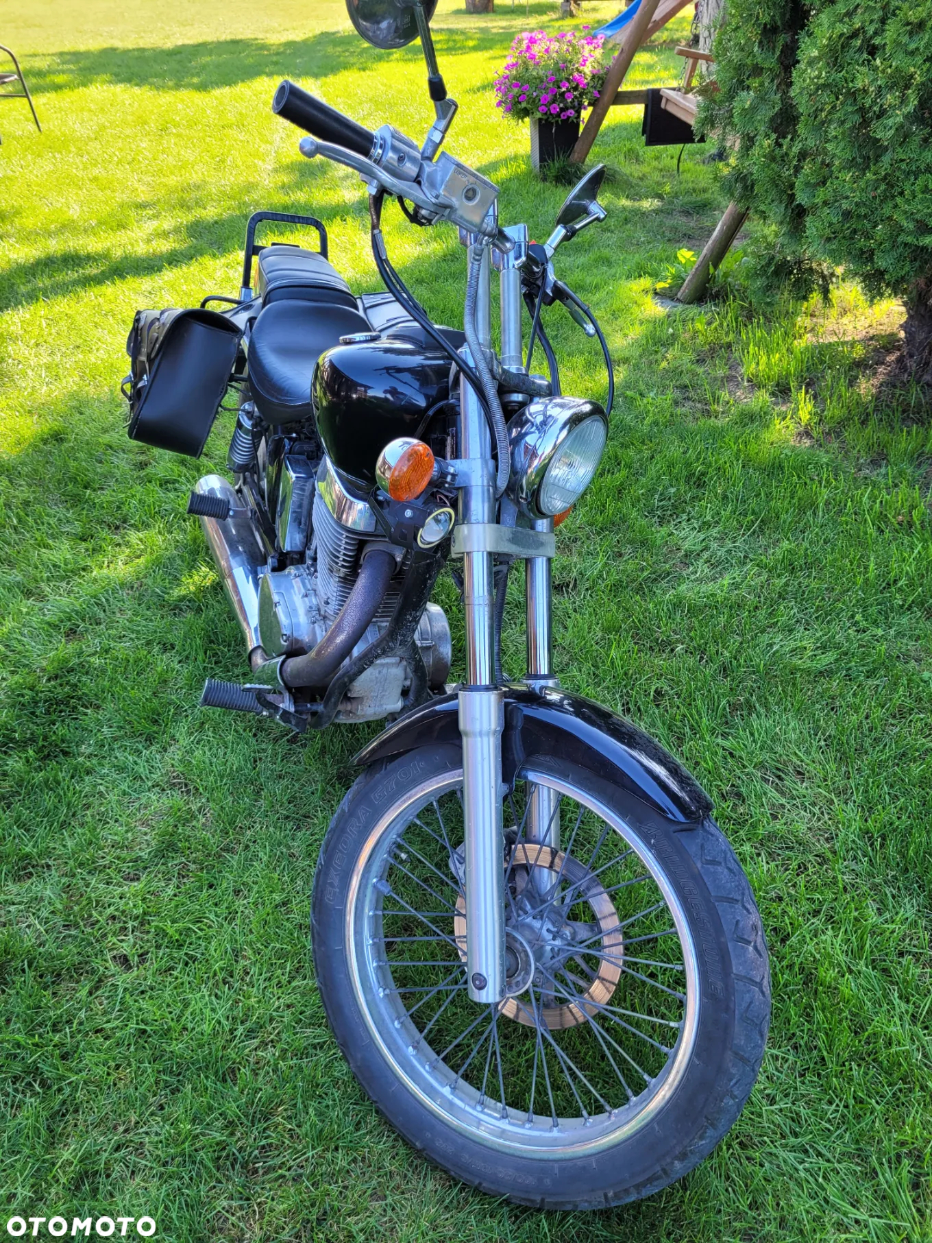 Suzuki Savage - 5