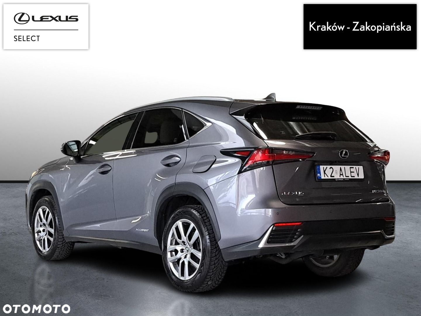 Lexus NX - 8