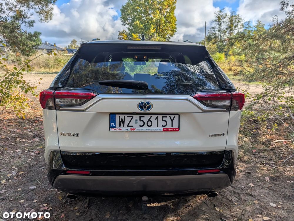 Toyota RAV4 2.5 Hybrid Selection 4x2 - 18