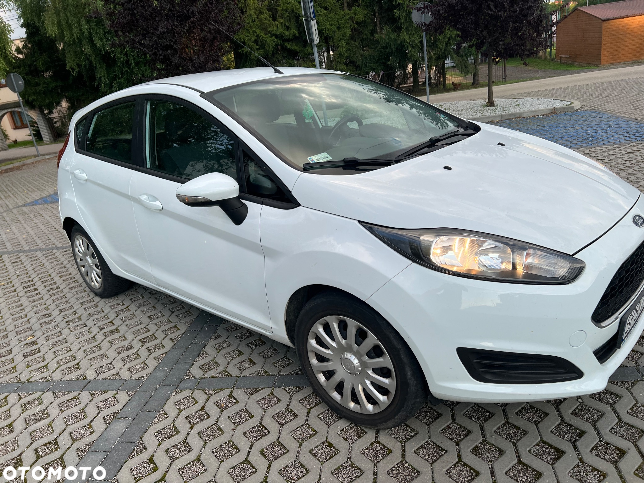 Ford Fiesta 1.5 TDCi Silver X (Amb.) EU6 - 7