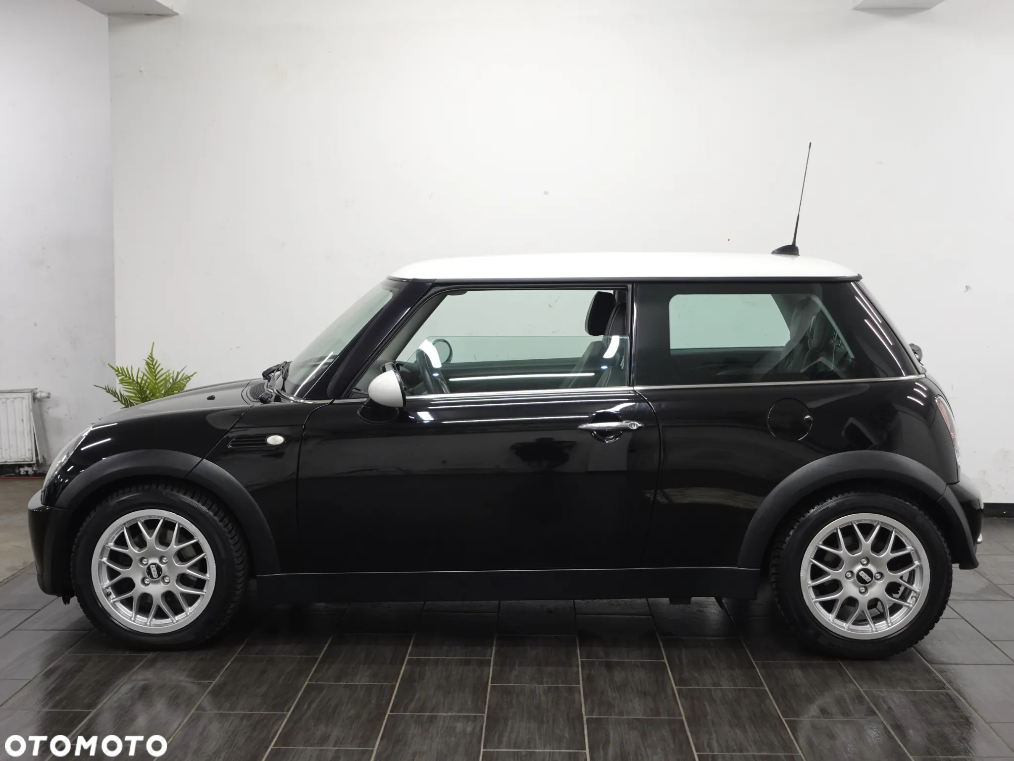 MINI Cooper pepper - 5