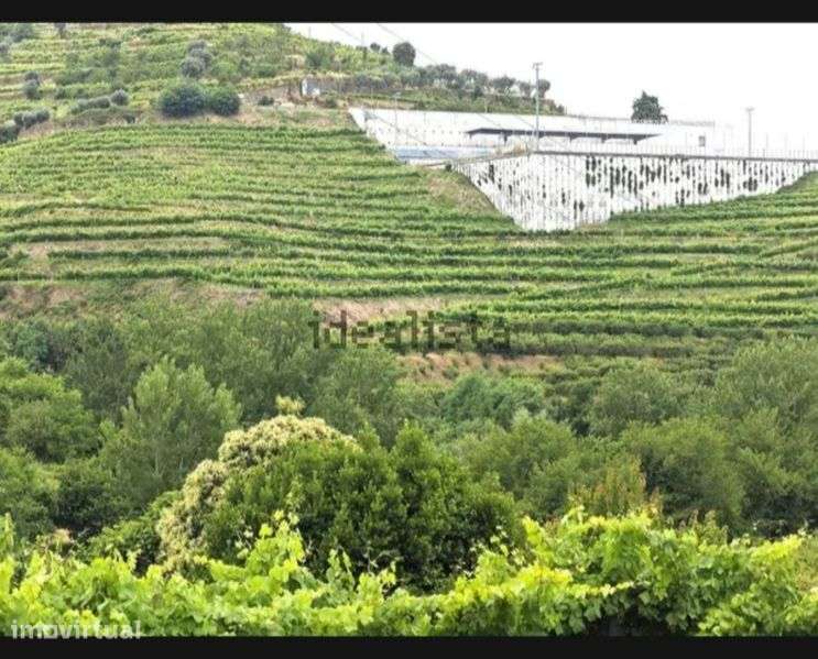 Propriedade no Douro . - Grande imagem: 2/9