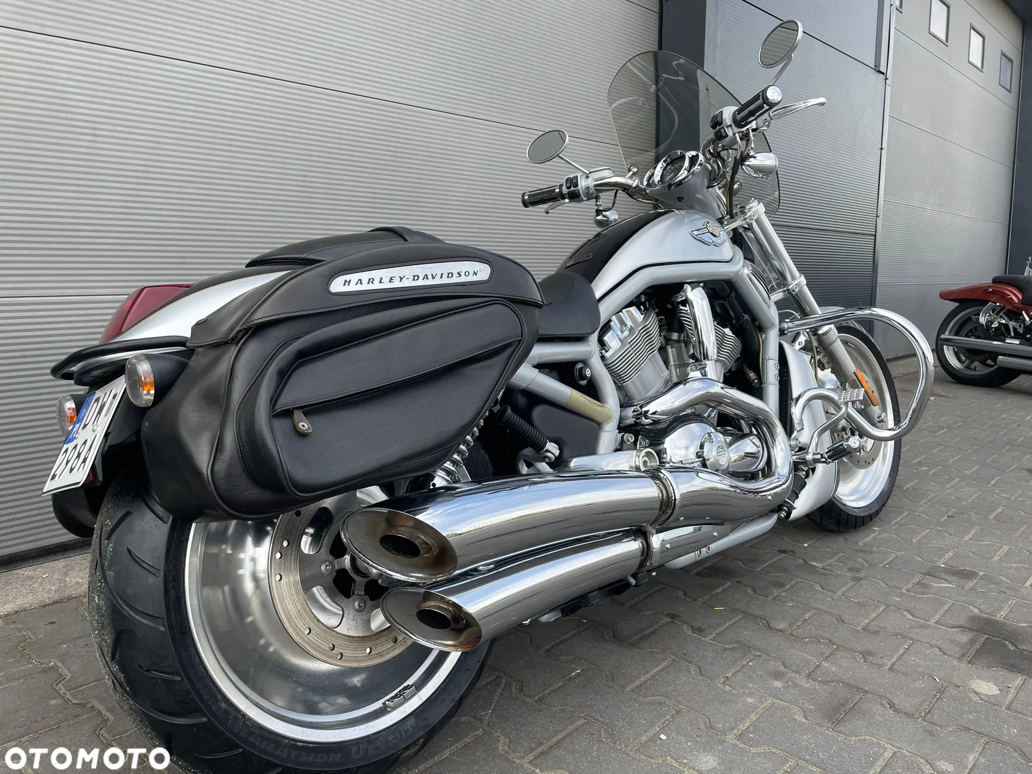 Harley-Davidson Softail V-Rod - 2