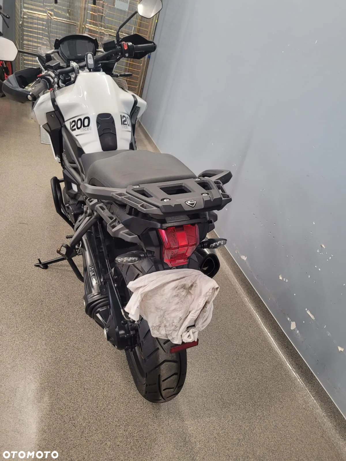 Triumph Tiger - 6