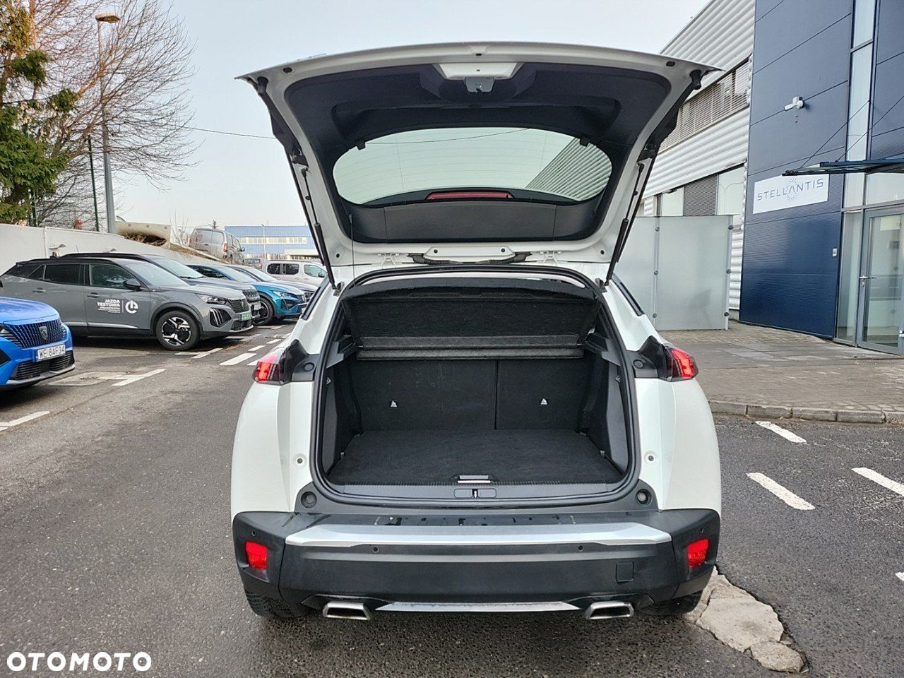 Peugeot 2008 - 6