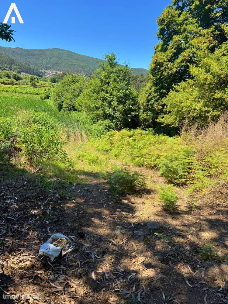 Terreno Abade de Neiva - Grande imagem: 3/9