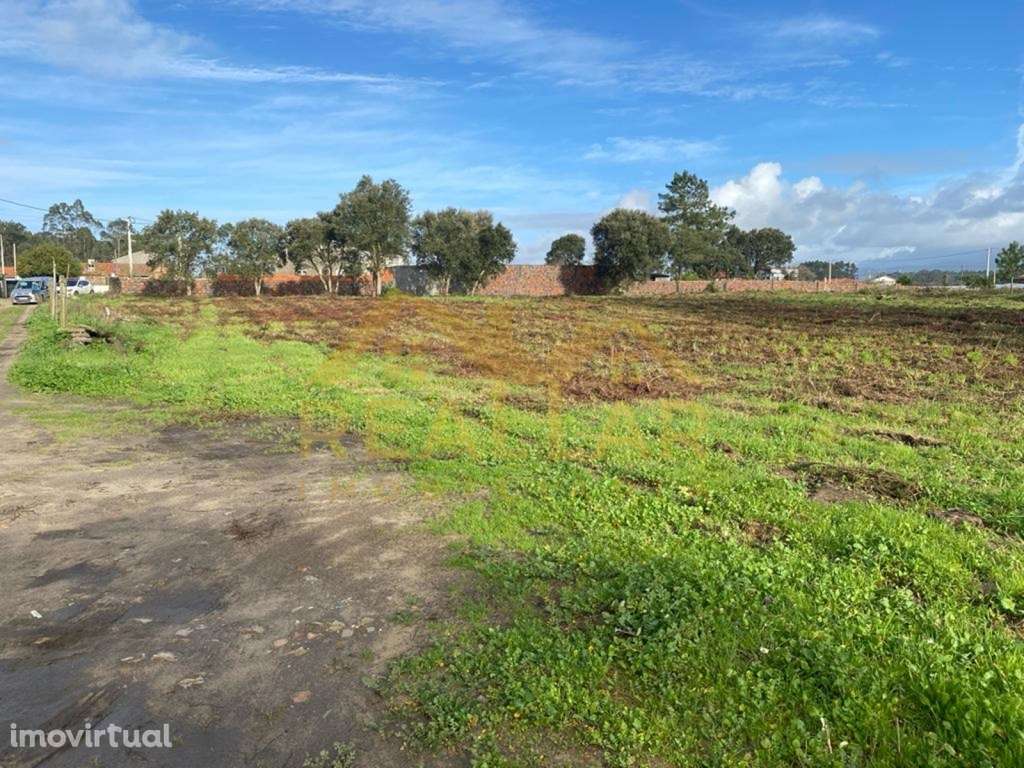 Terreno para construção em Apúlia - Esposende - Grande imagem: 4/24