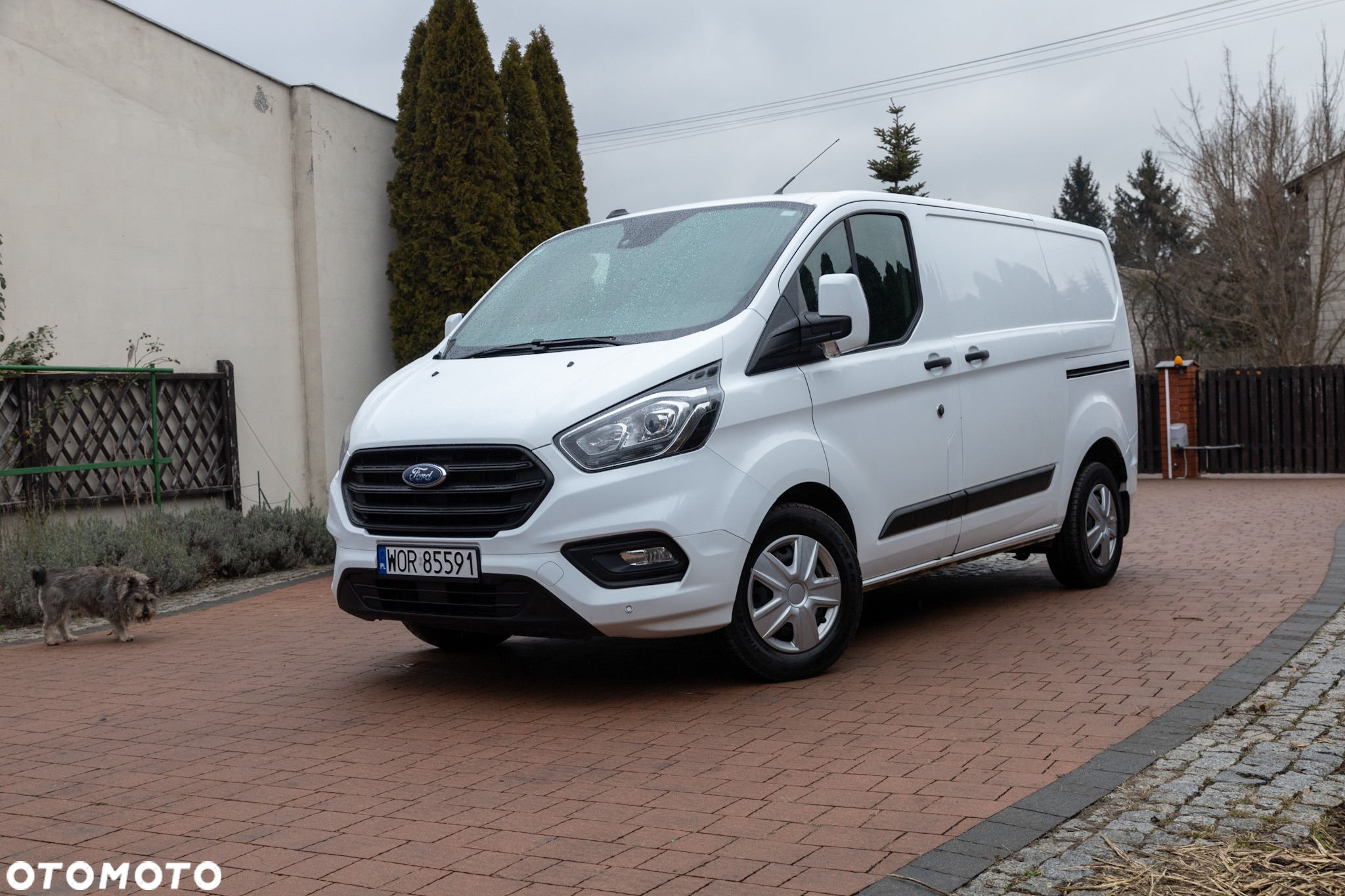 Ford Transit Custom 270 L1H1 Trend - 5