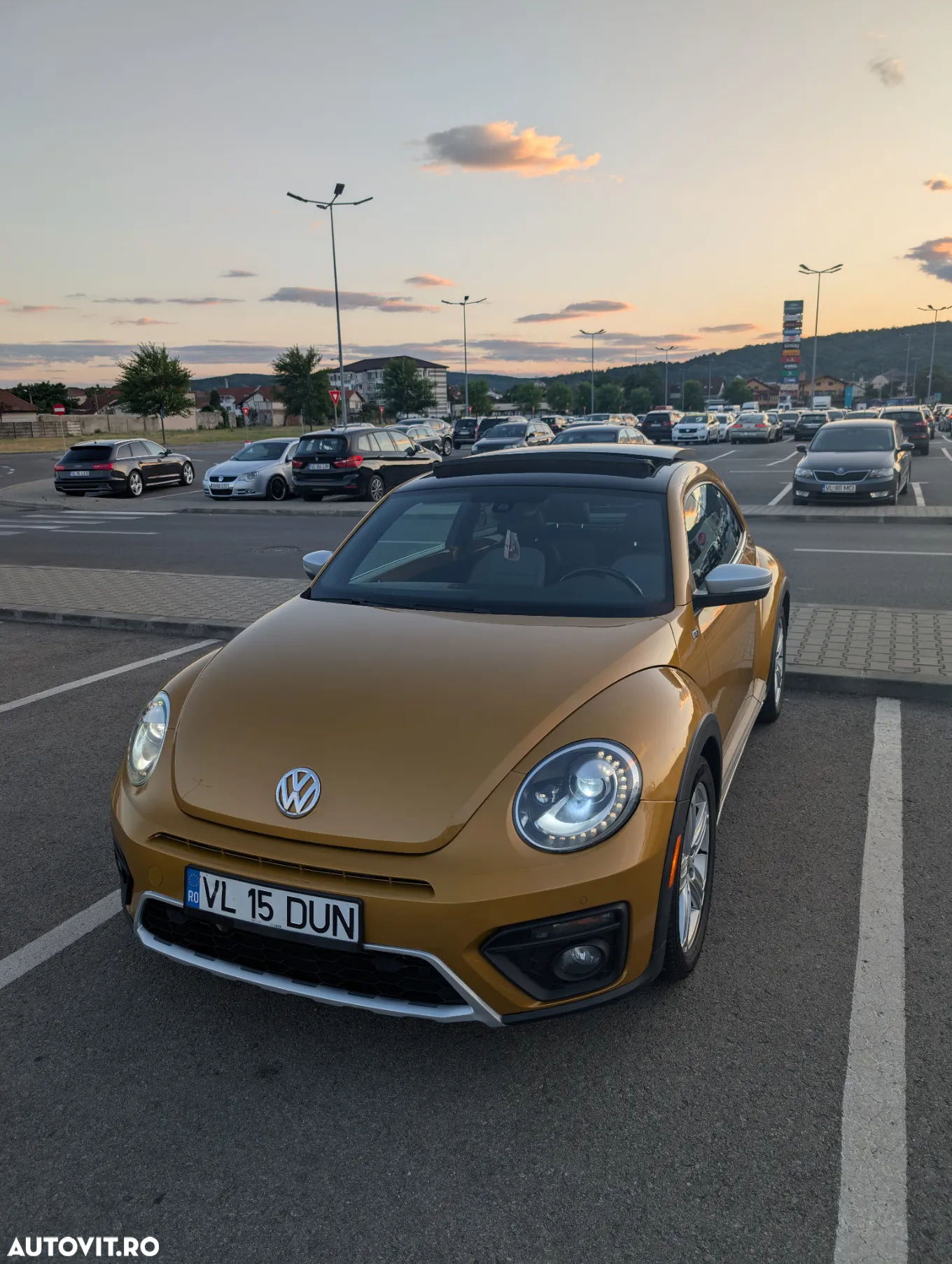 Volkswagen Beetle - 16