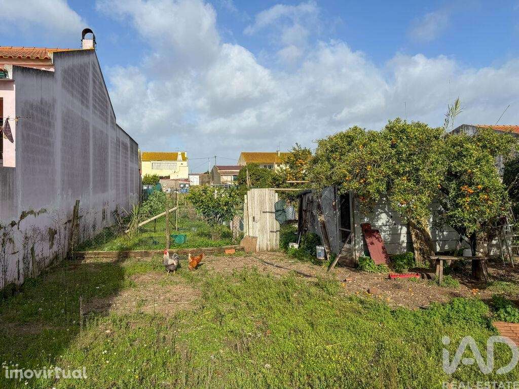 Terreno para construção em Benfica do Ribatejo - Grande imagem: 5/13