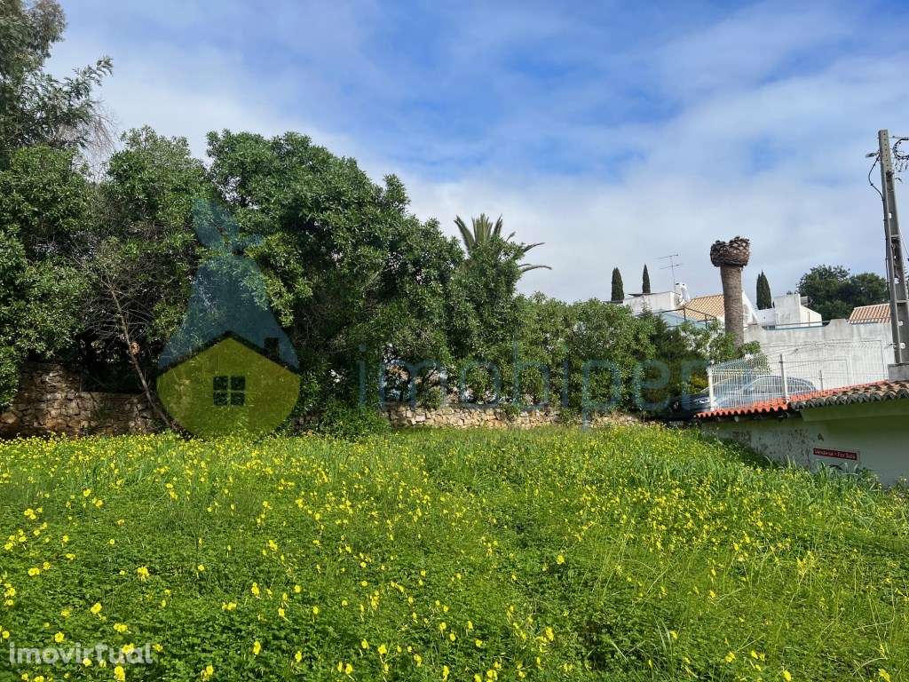 LOTE EXCLUSIVO PARA MORADIA DE SONHO COM PISCINA NA QUINTA DOS BARR... - Grande imagem: 5/10