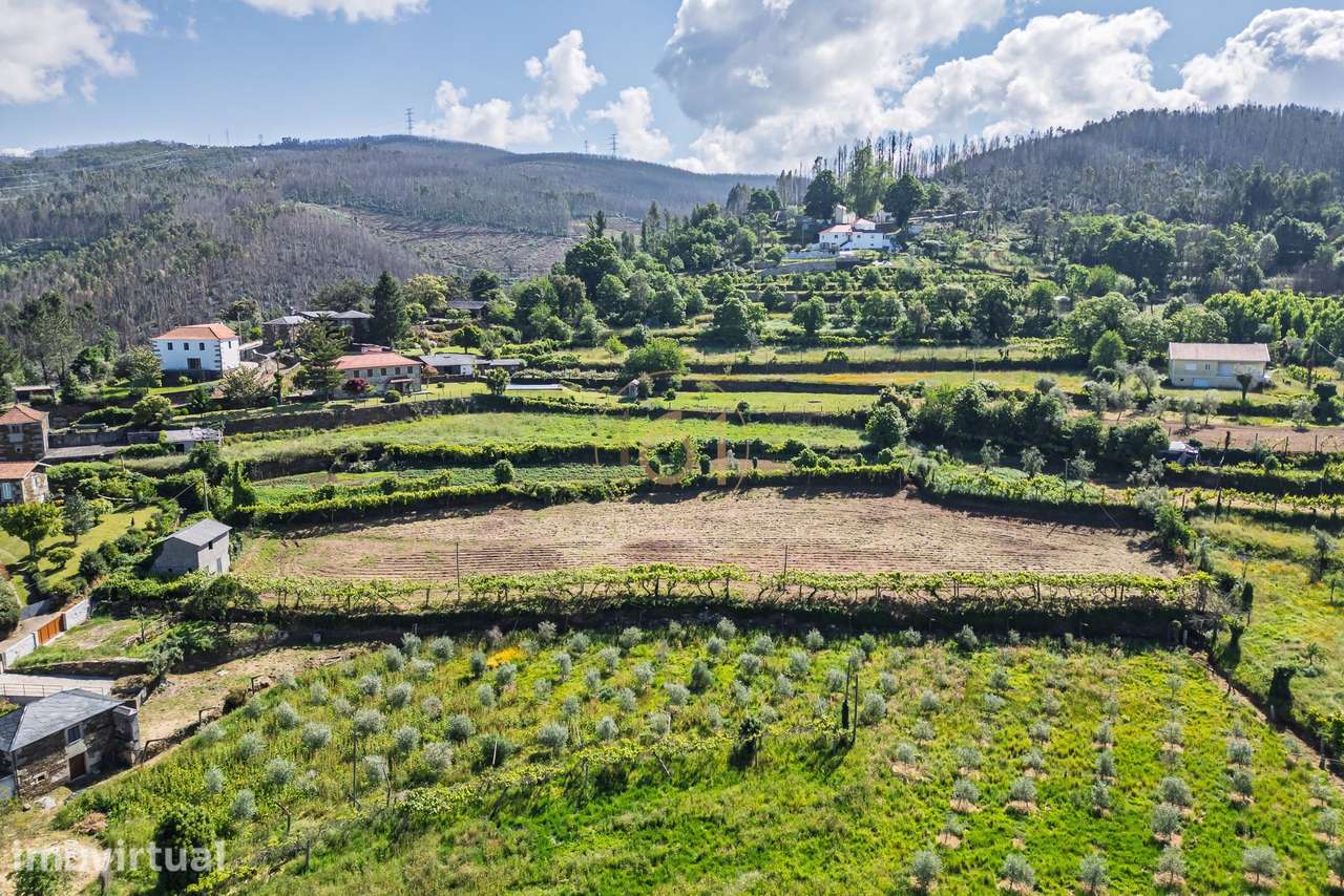 Terreno amplo para investimento em Arouca - Grande imagem: 3/25