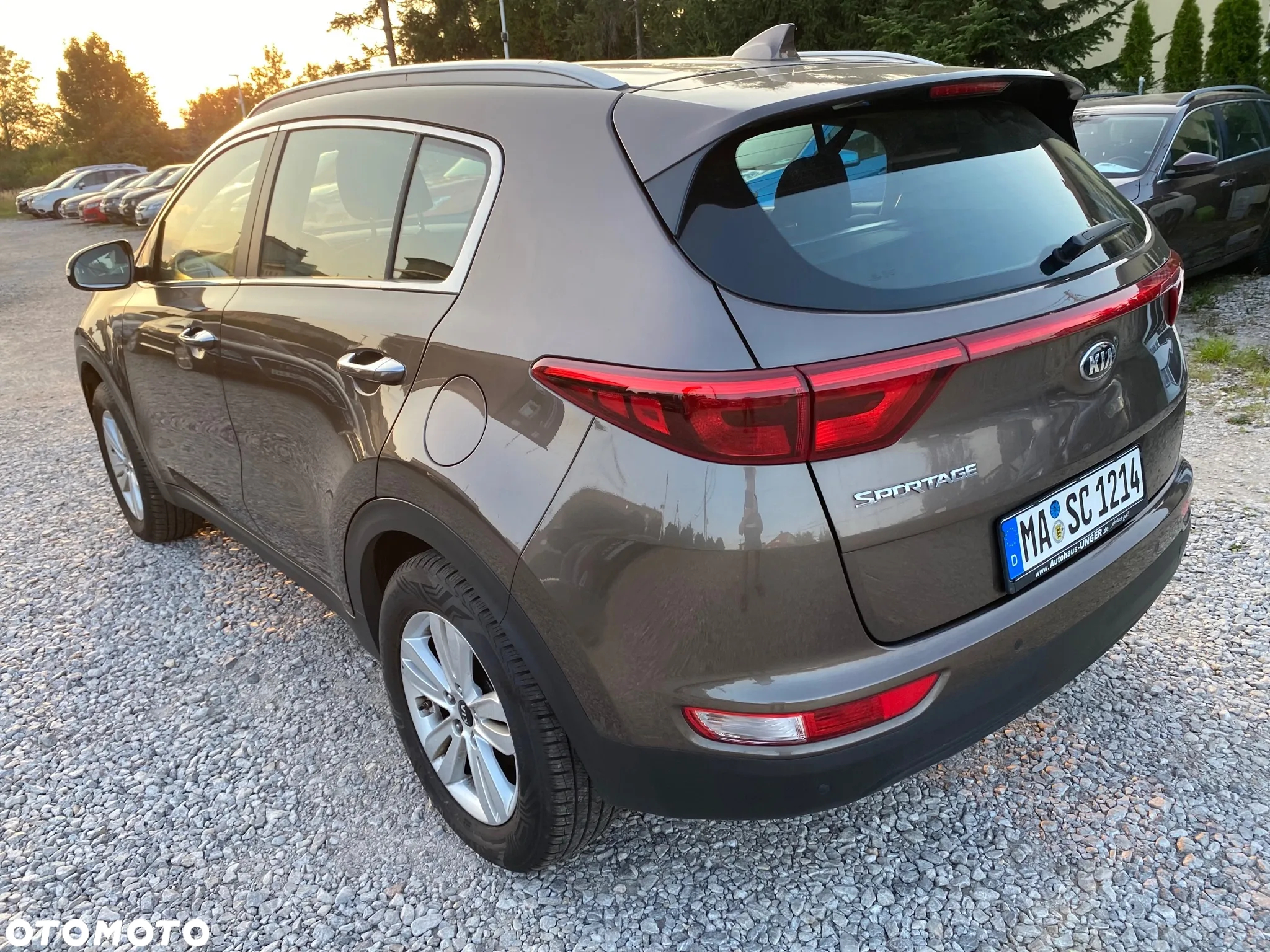 Kia Sportage 1.6 GDI L Business Line 2WD - 4