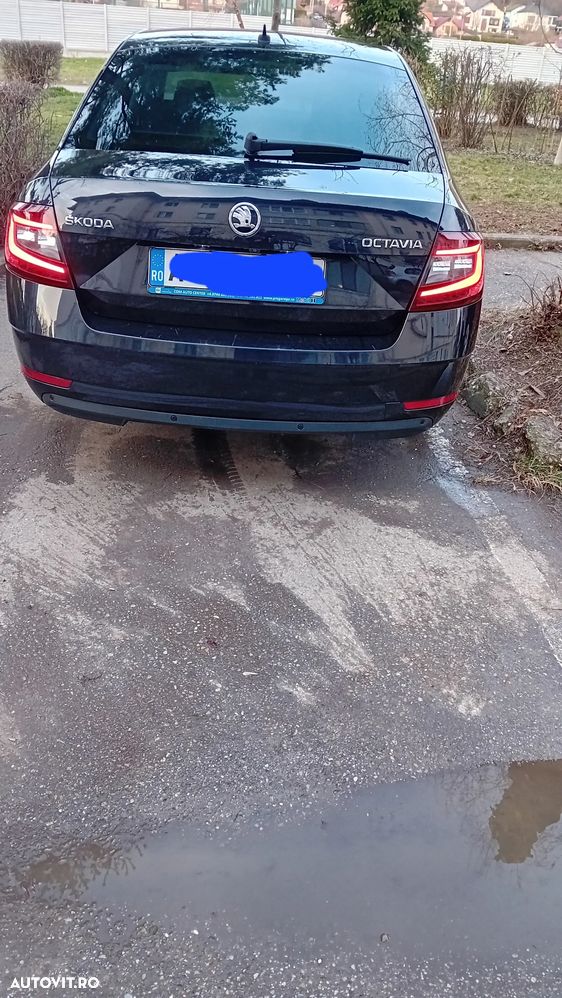 Skoda Octavia - 8