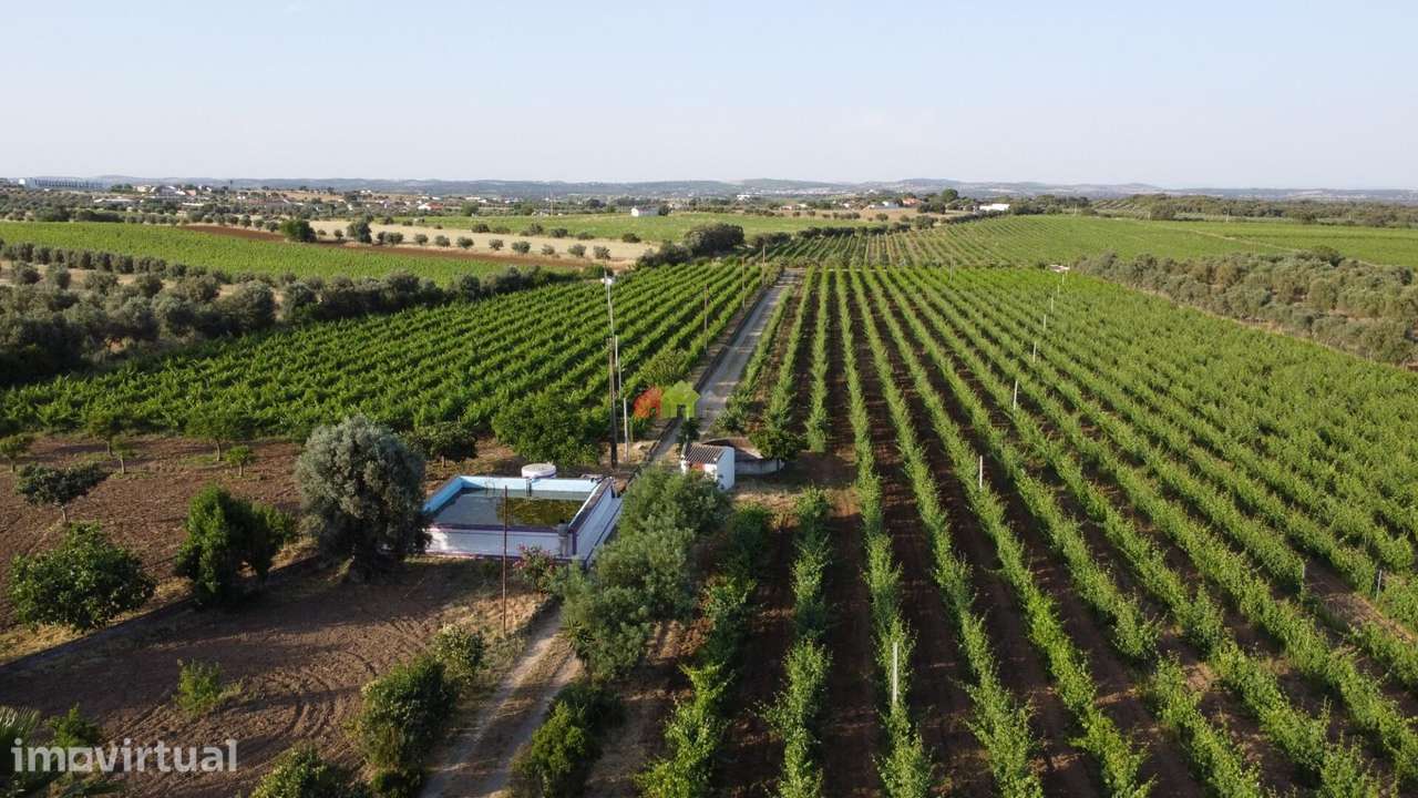 Quinta dos Sonhos em Reguengos de Monsaraz - Grande imagem: 4/60