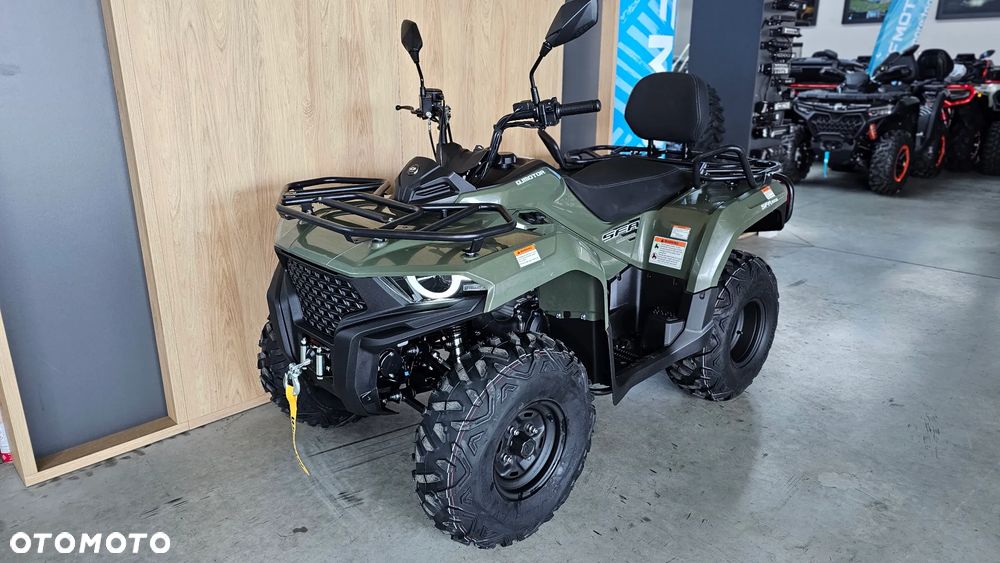 QJMOTOR SFA 300 - 2