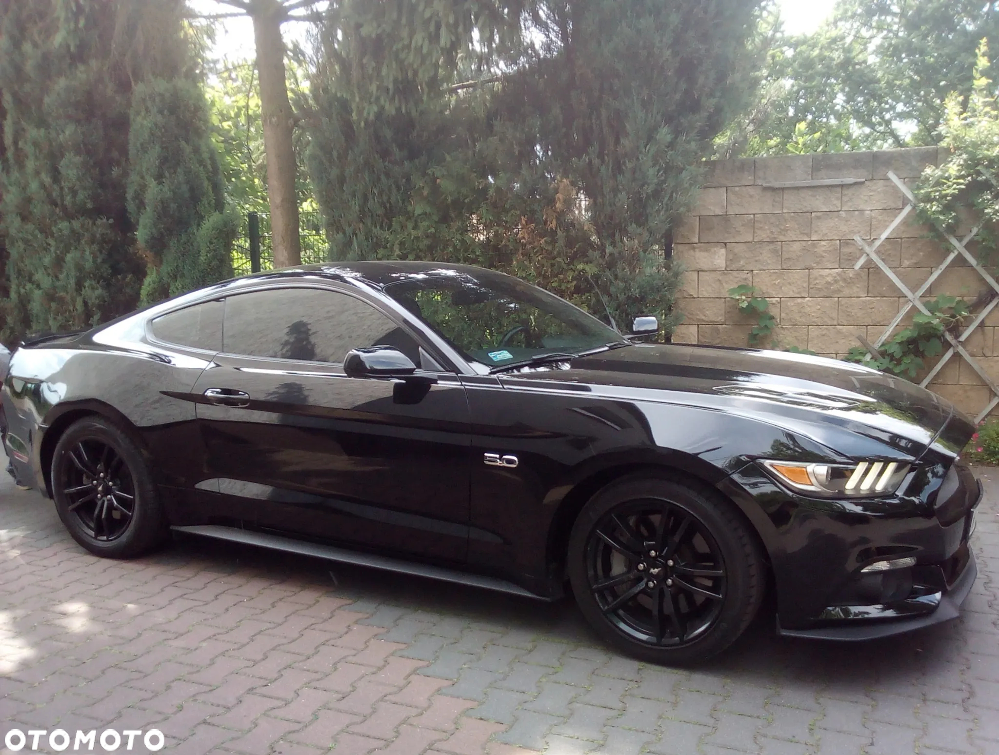 Ford Mustang 5.0 V8 GT - 3