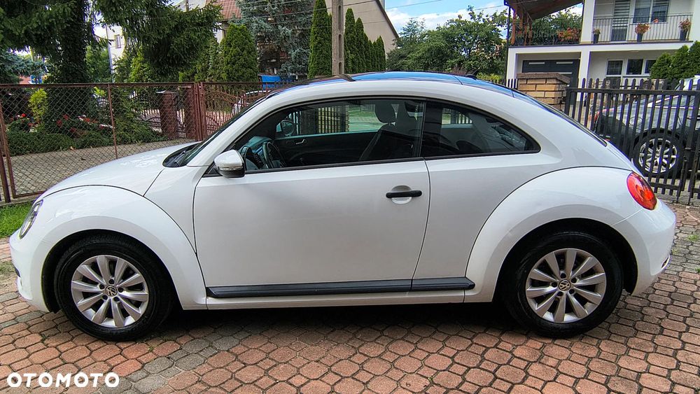 Volkswagen Beetle - 12