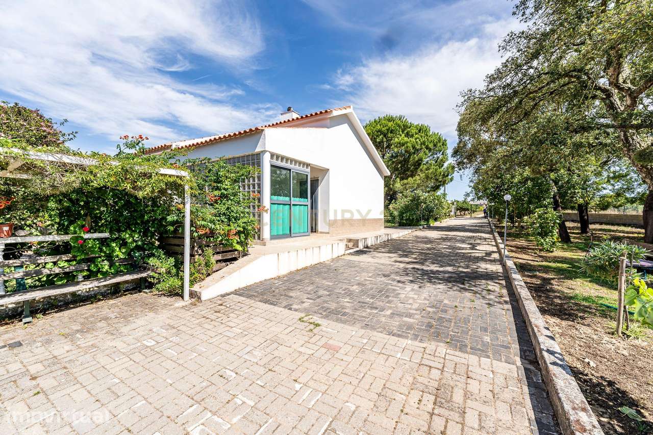 Oportunidade Única: Quinta dos Pinheiros em Palmela - Grande imagem: 3/20