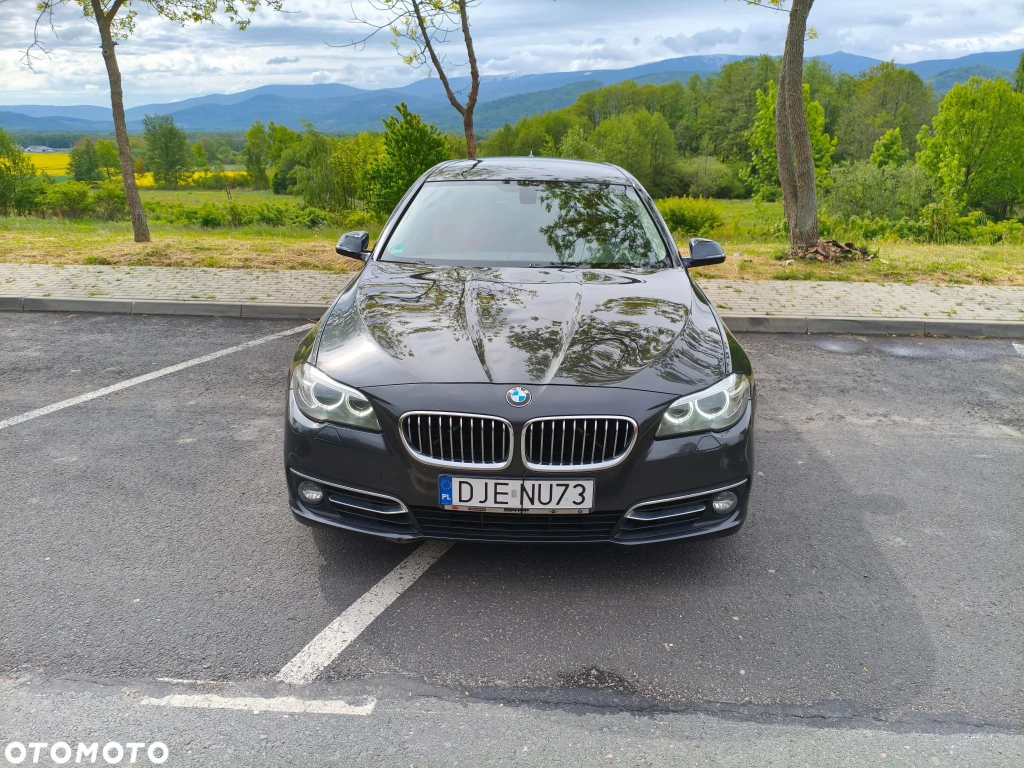 BMW Seria 5 520d Luxury Line - 3