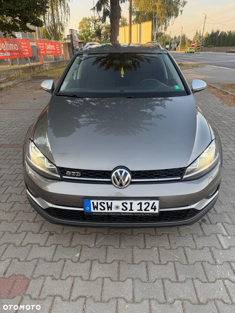 Volkswagen Golf Alltrack 2.0 TDI BMT 4Mot DSG - 8