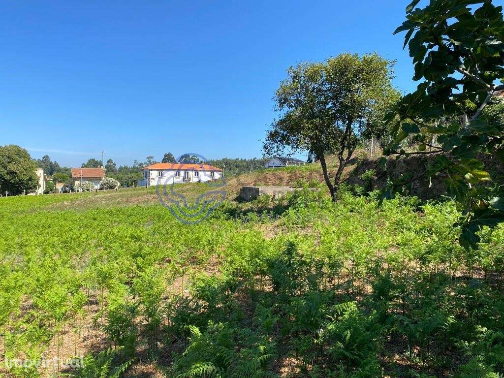 Terreno Urbano para construção em Grijó - Grande imagem: 3/8