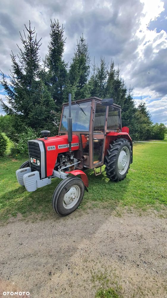 Ursus Massey Ferguson 255 - 3