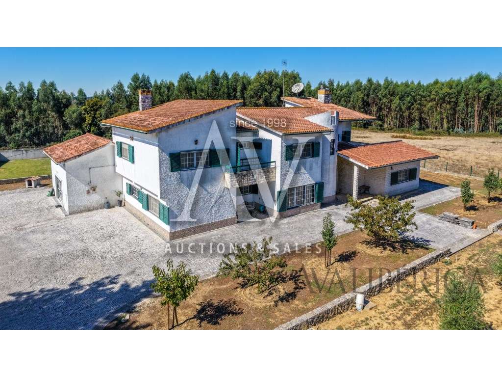 Quinta com 3,14 Hectares e Piscina | Ferreira do Zêzere - Grande imagem: 5/56