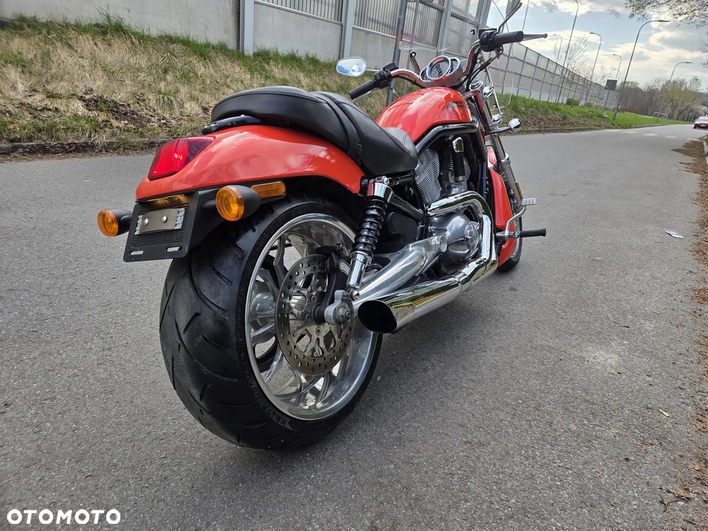 Harley-Davidson Softail V-Rod - 6
