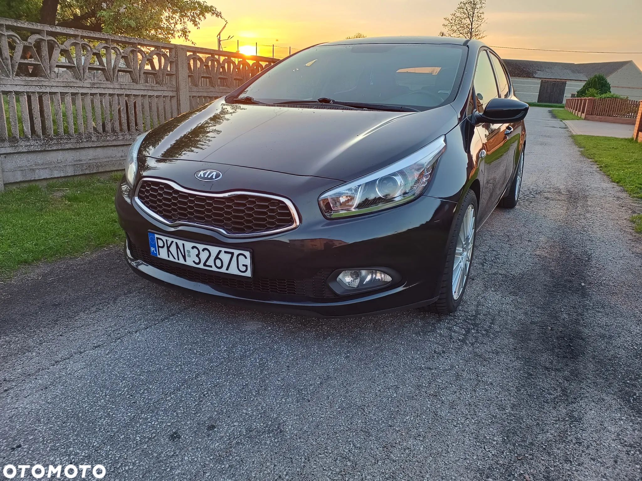 Kia Ceed - 1