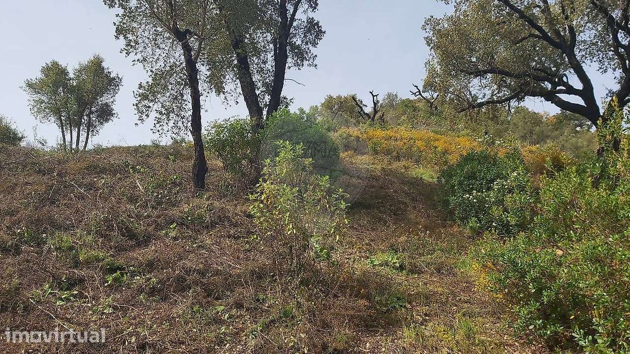Terreno  para venda - Grande imagem: 5/10