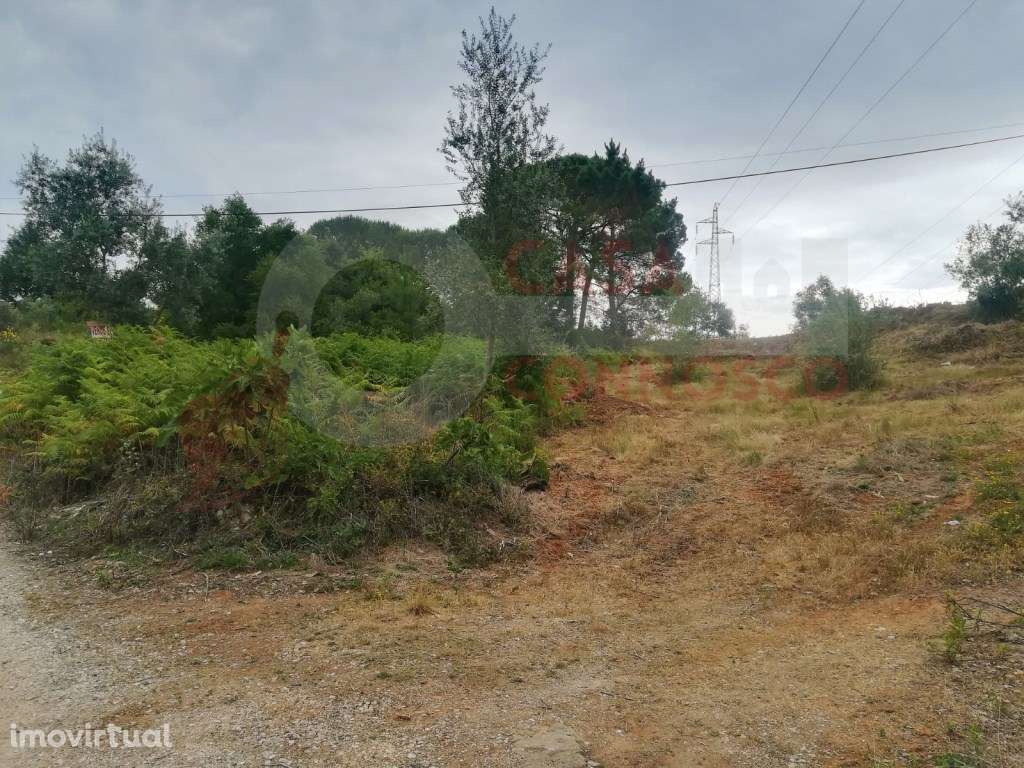 Terreno com 5972 m2 para construção - Grande imagem: 4/4