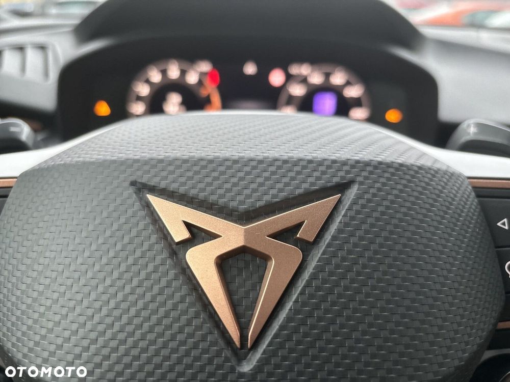 Cupra Terramar 2.0 TSI 4Drive Advantage Edition DSG - 18