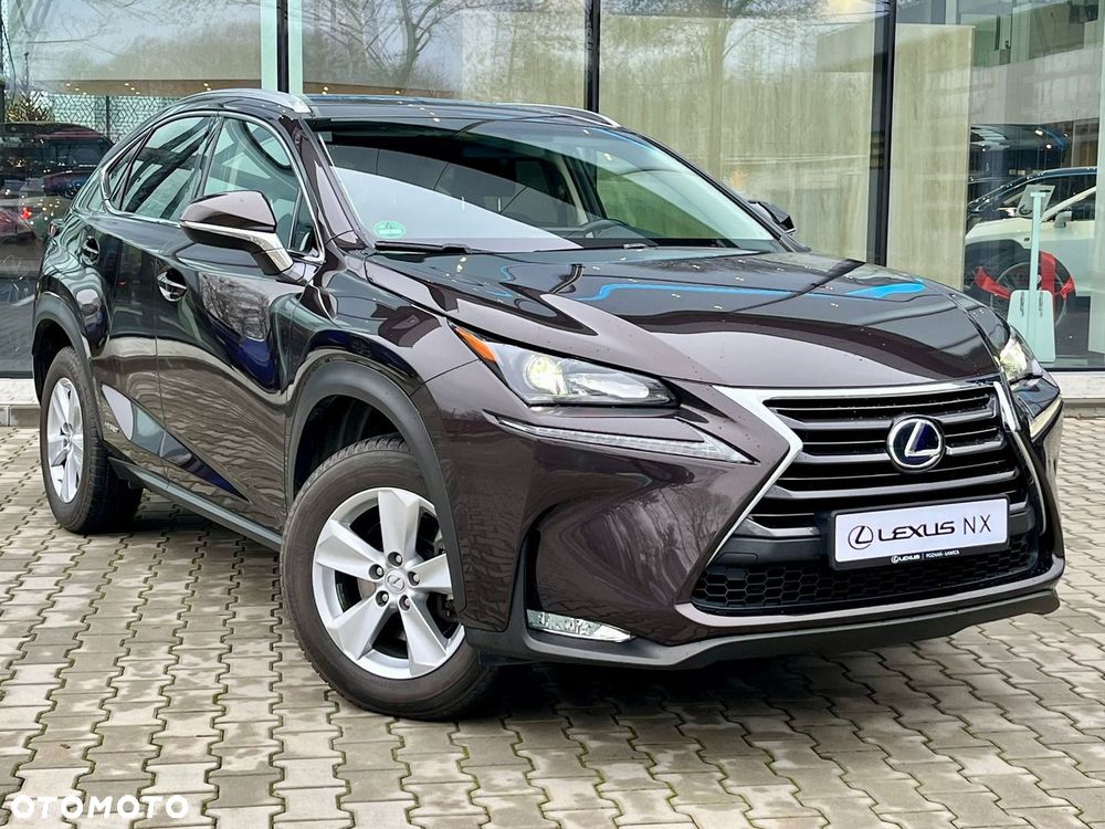 Lexus NX 300h Elite AWD - 9