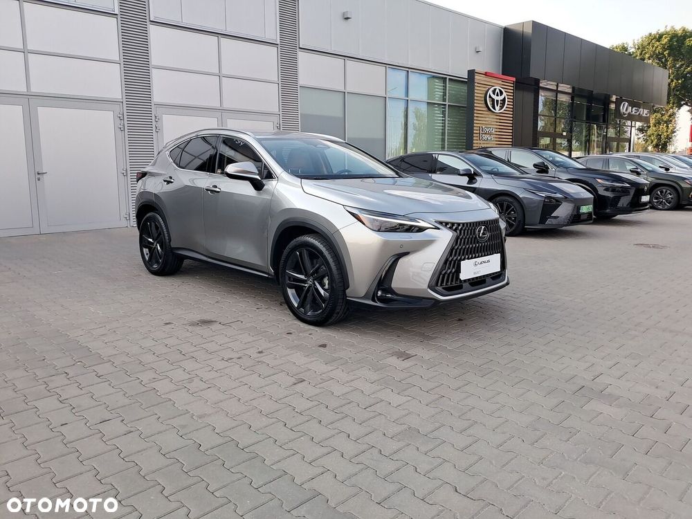 Lexus NX - 18