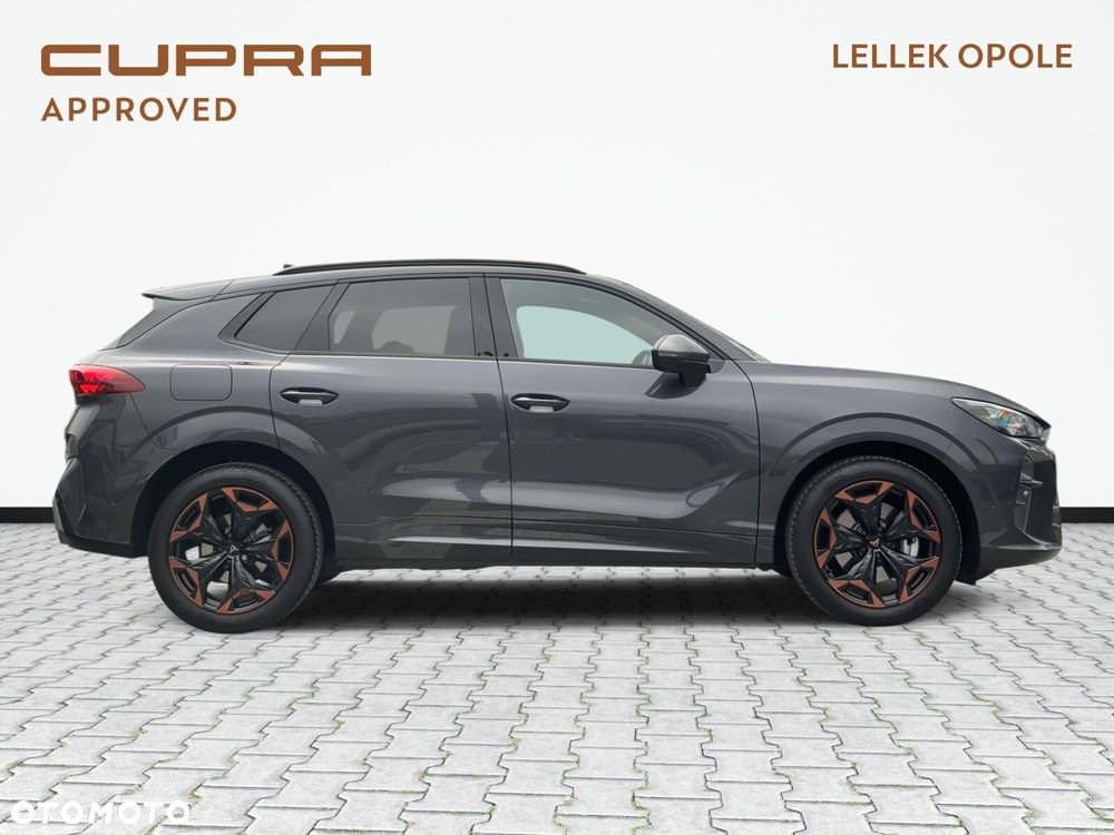 Cupra Terramar - 5
