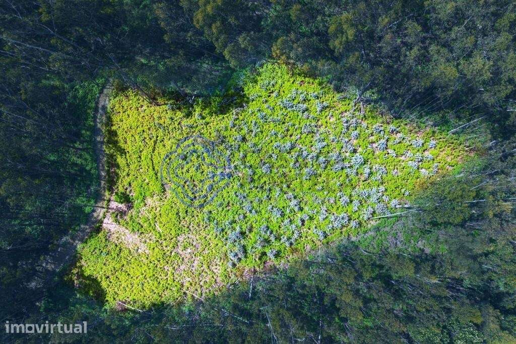 Terreno Rústico em Zona Agroflorestal — Fonte dos Almocreves, Santa Cr - Grande imagem: 3/17