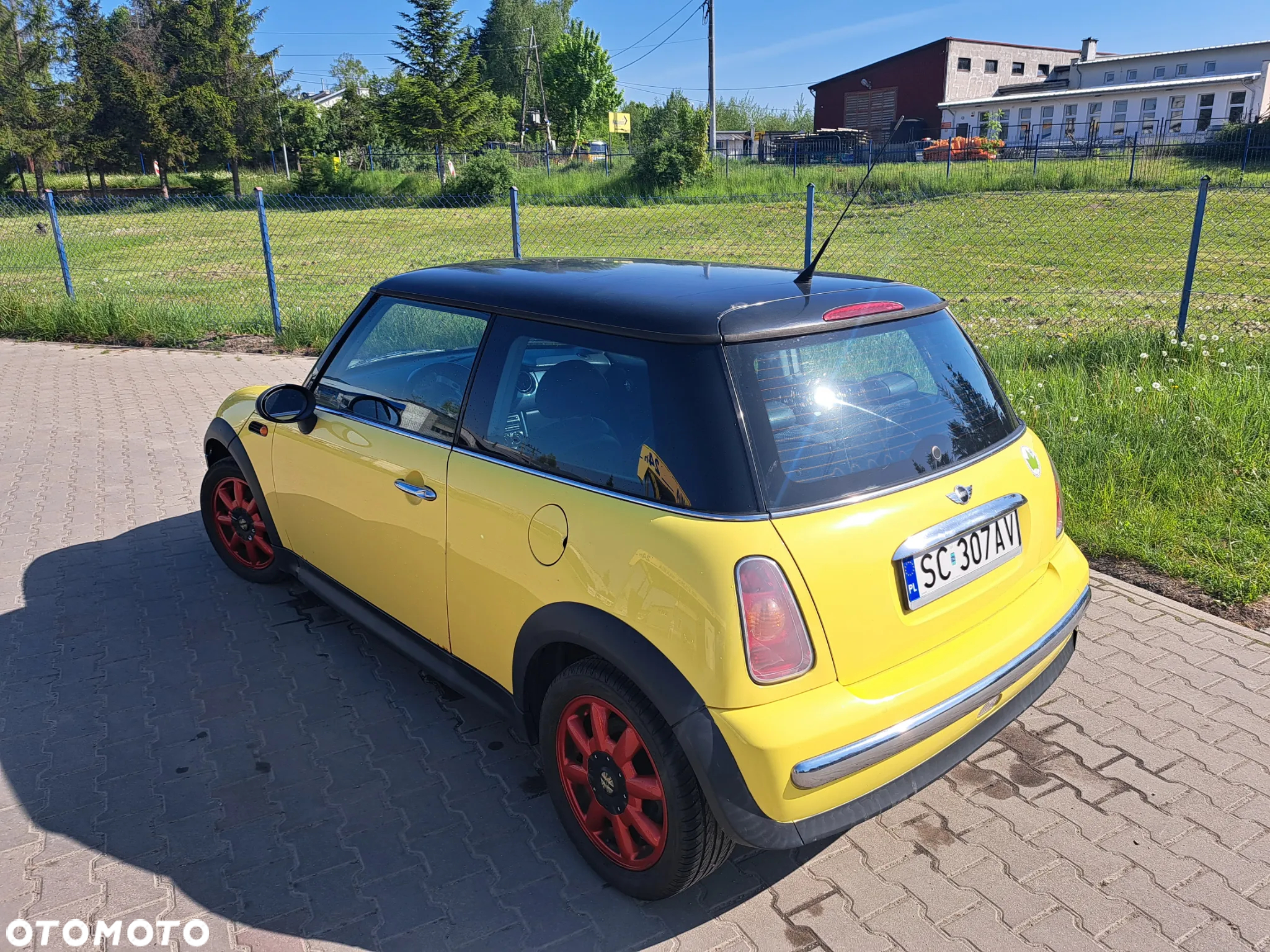 MINI ONE D salt - 3