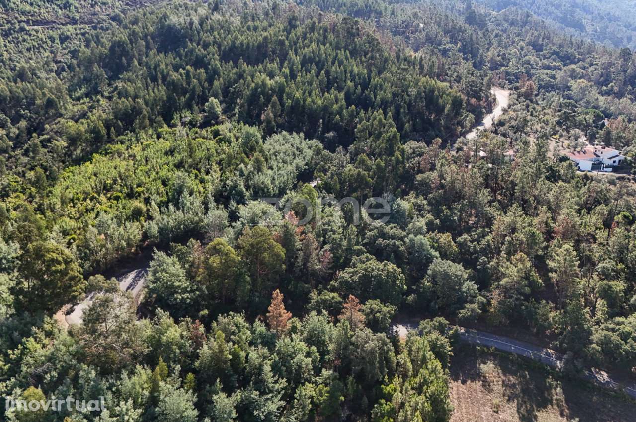 Terreno em Folques, Arganil - Grande imagem: 4/15