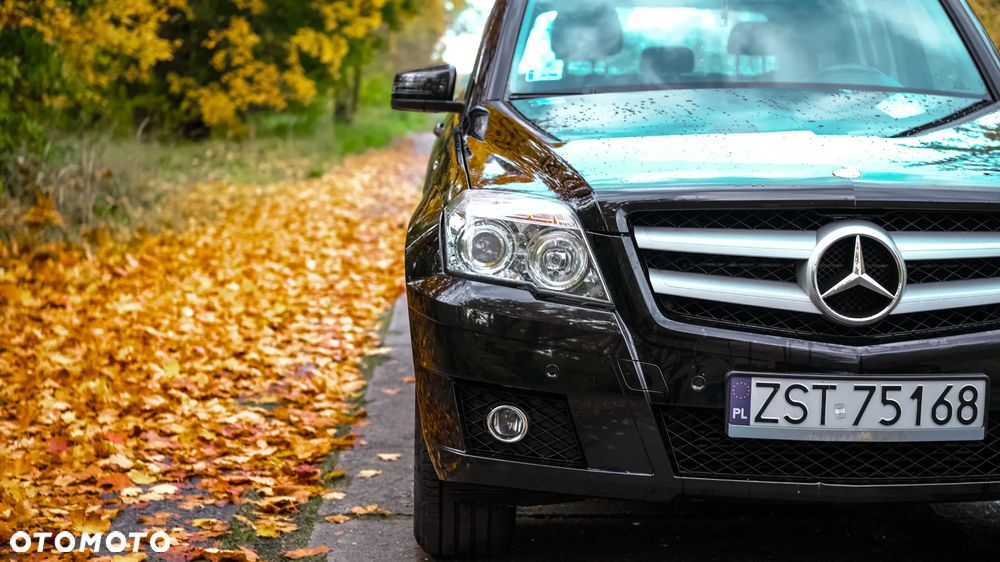 Mercedes-Benz GLK 200 CDI DPF BlueEFFICIENCY - 2