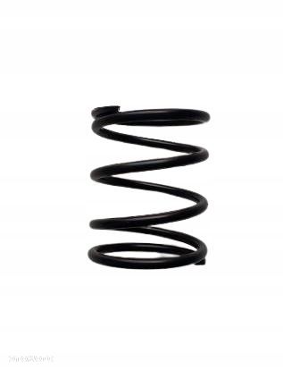 Sprężyna do WasteGate TURBOSMART 0.8 bara 38mm 40 - 1