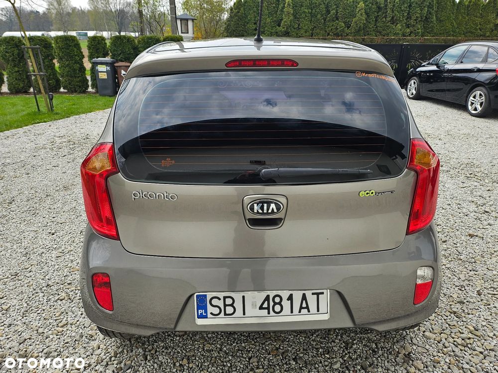 Kia Picanto 1.0 Dream-Team Edition - 5