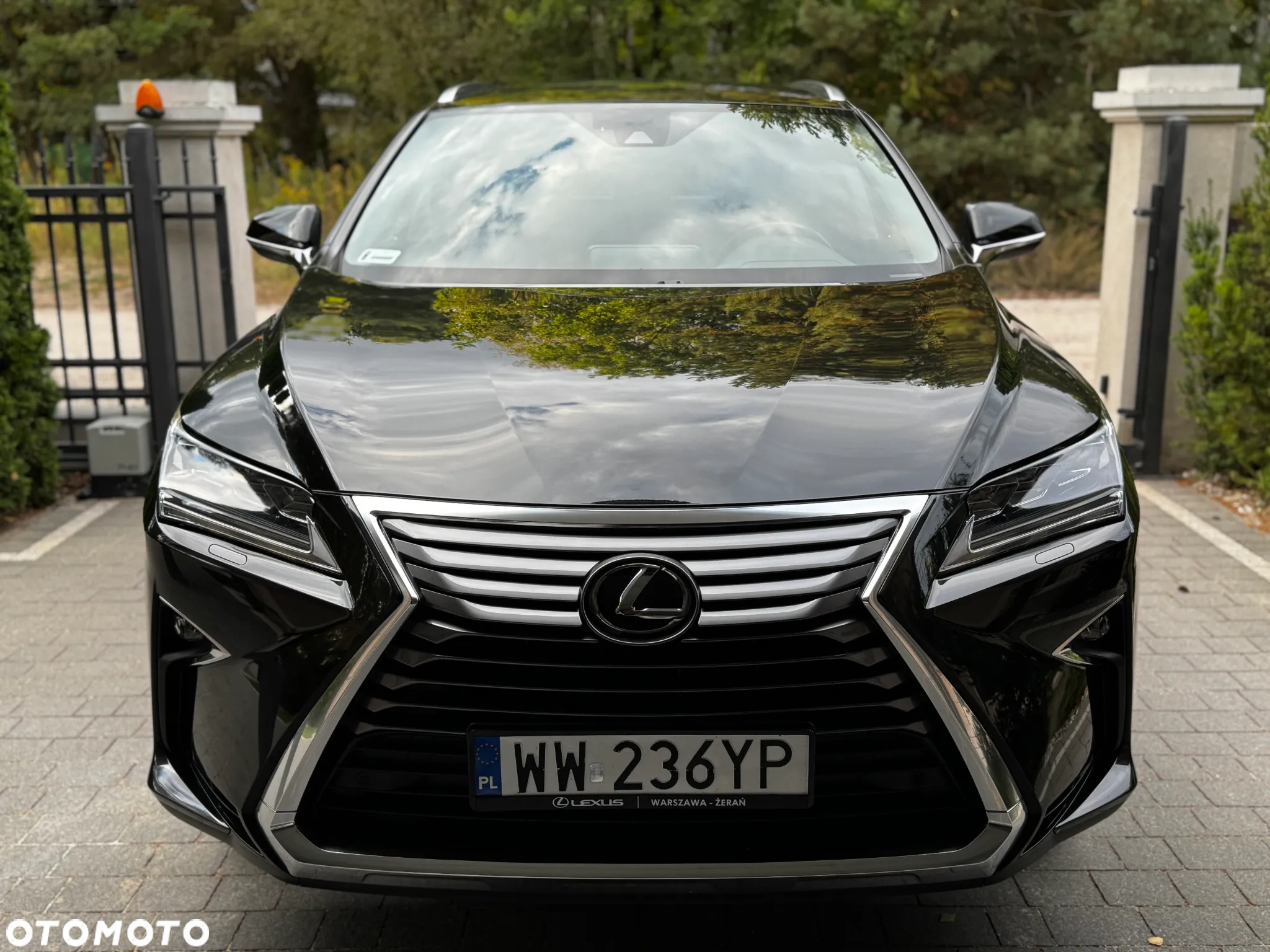 Lexus RX - 3