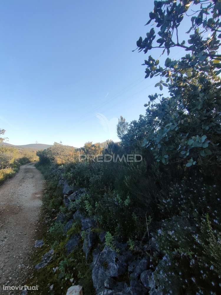 Terreno Rústico - Monsanto, Alcanena - Grande imagem: 2/14